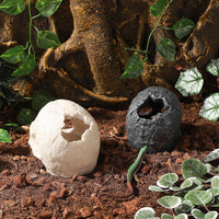 Resin Reptile Hideout for Tank Realistic Skull Decor for Terrarium - Black - image 4