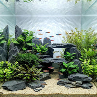 Aquarium Rock Natural Slate Rocks 2 to 4 inch Aquariums Stone - 5lb(2-6'') - image 4