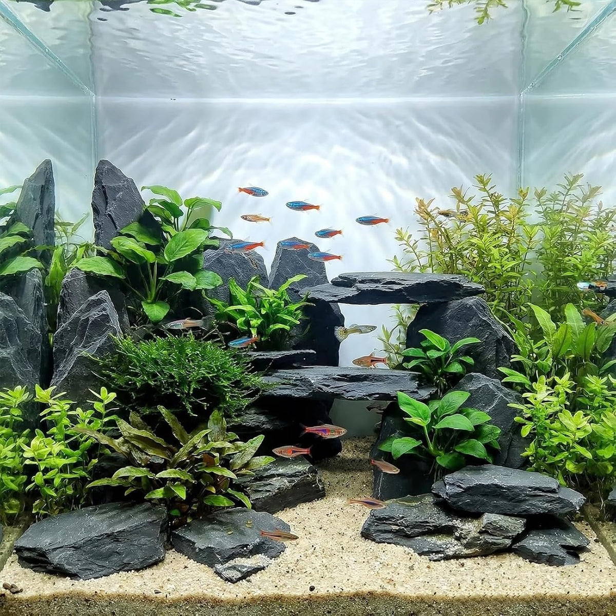 Aquarium Rock Natural Slate Rocks 2 to 4 inch Aquariums Stone - 5lb(2-6'') - image 4