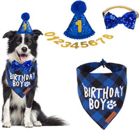 Dog Birthday Hat Bandana Set, Blue Plaid Boy Dog Bandana - Large / Blue