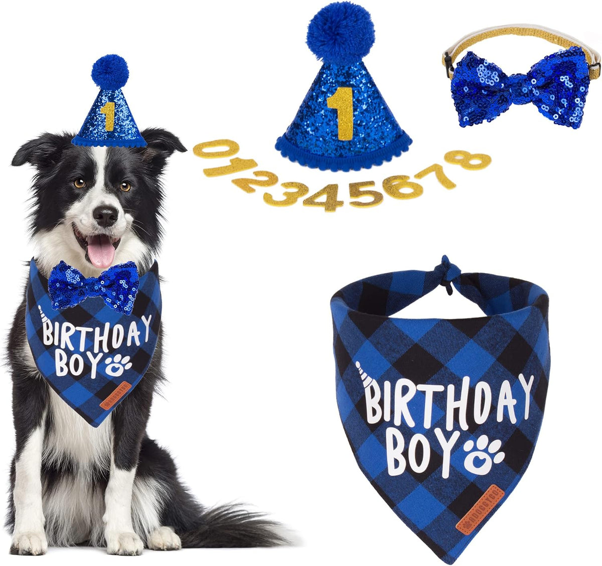 Dog Birthday Hat Bandana Set, Blue Plaid Boy Dog Bandana - Large / Blue