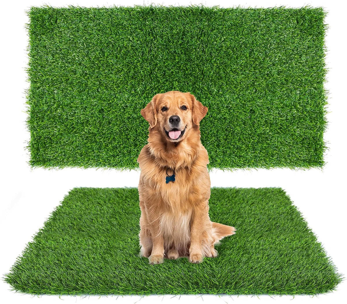 GLOBREEN 34" x 23" Fake Grass Pee Pad for Dogs Potty Training Turf - Green-01 / 32x45 Inch