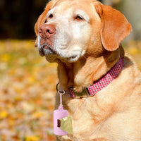 3Pack Dog Poop Bag Holder for Leash - image 4