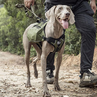 ONETIGRIS Y-Shaped Dog Backpack with Handle - Medium / Green - image 4