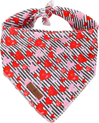 Lionet Paws Spring Daisy Dog Bandana Washable Cotton Handkerchief - Stripe Hearts / Large (Pack of 1)