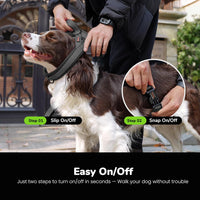 Didog No Pull Dog Harness for Large Dogs, Breathable Mesh Padded - Black-2 / M: Chest 21-27", Fit 28-50 lbs - image 3