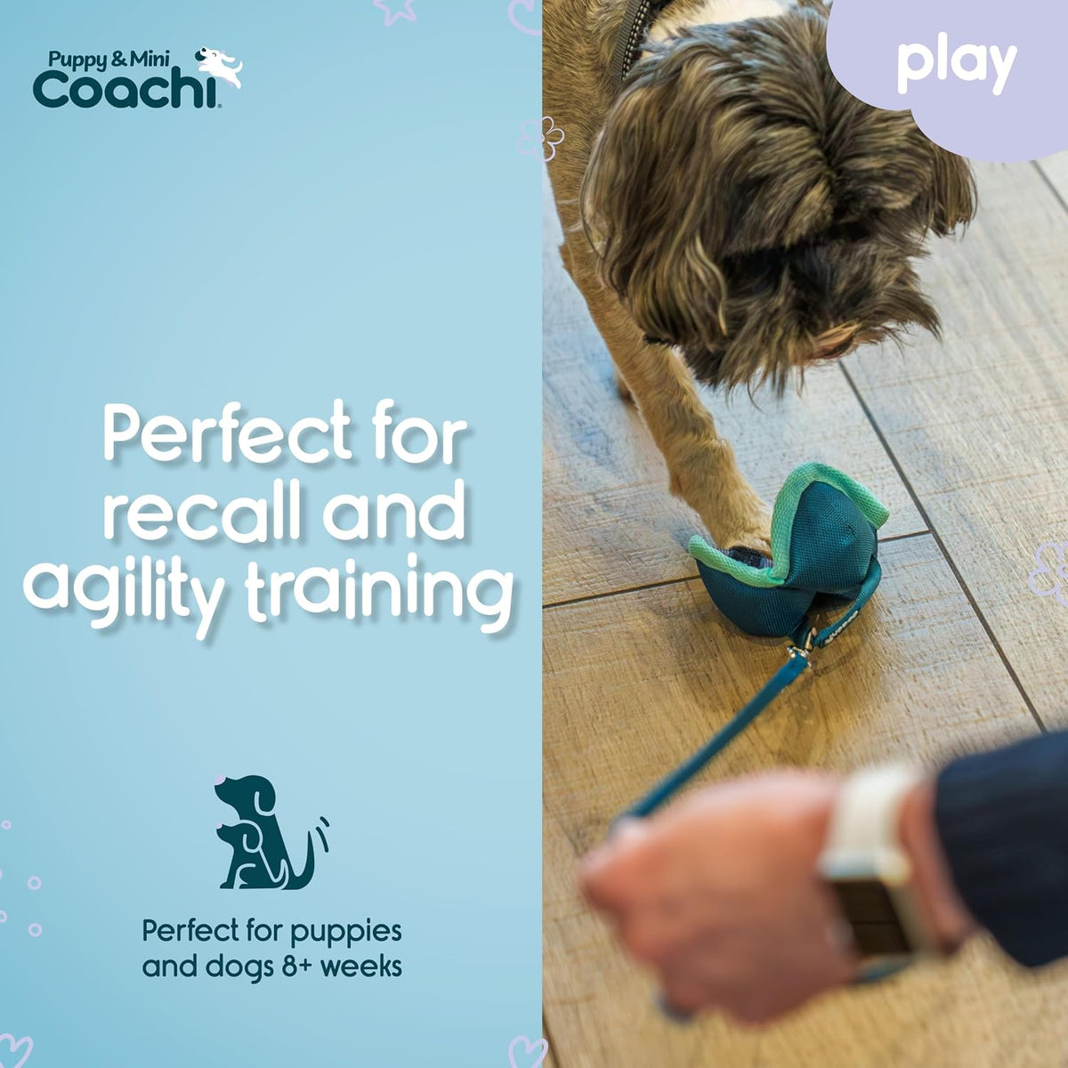 Coachi Puppy & Mini Tuggi Tug, Dog Toy for Tug of War & Play - Chase & Treat - image 3