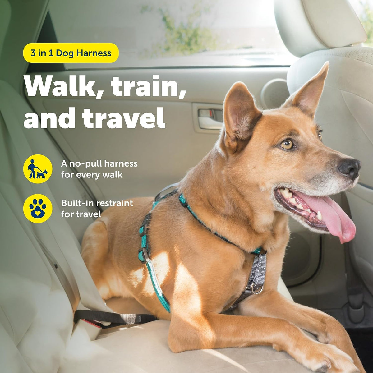 PetSafe 3 in 1 No-Pull Dog Harness, Walk, Train or Travel - Teal / Medium (Pack of 1) - image 2