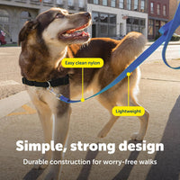 PetSafe Nylon Dog Leash, Strong, Durable - 3/4 in. x 6 ft. / Purple - image 4