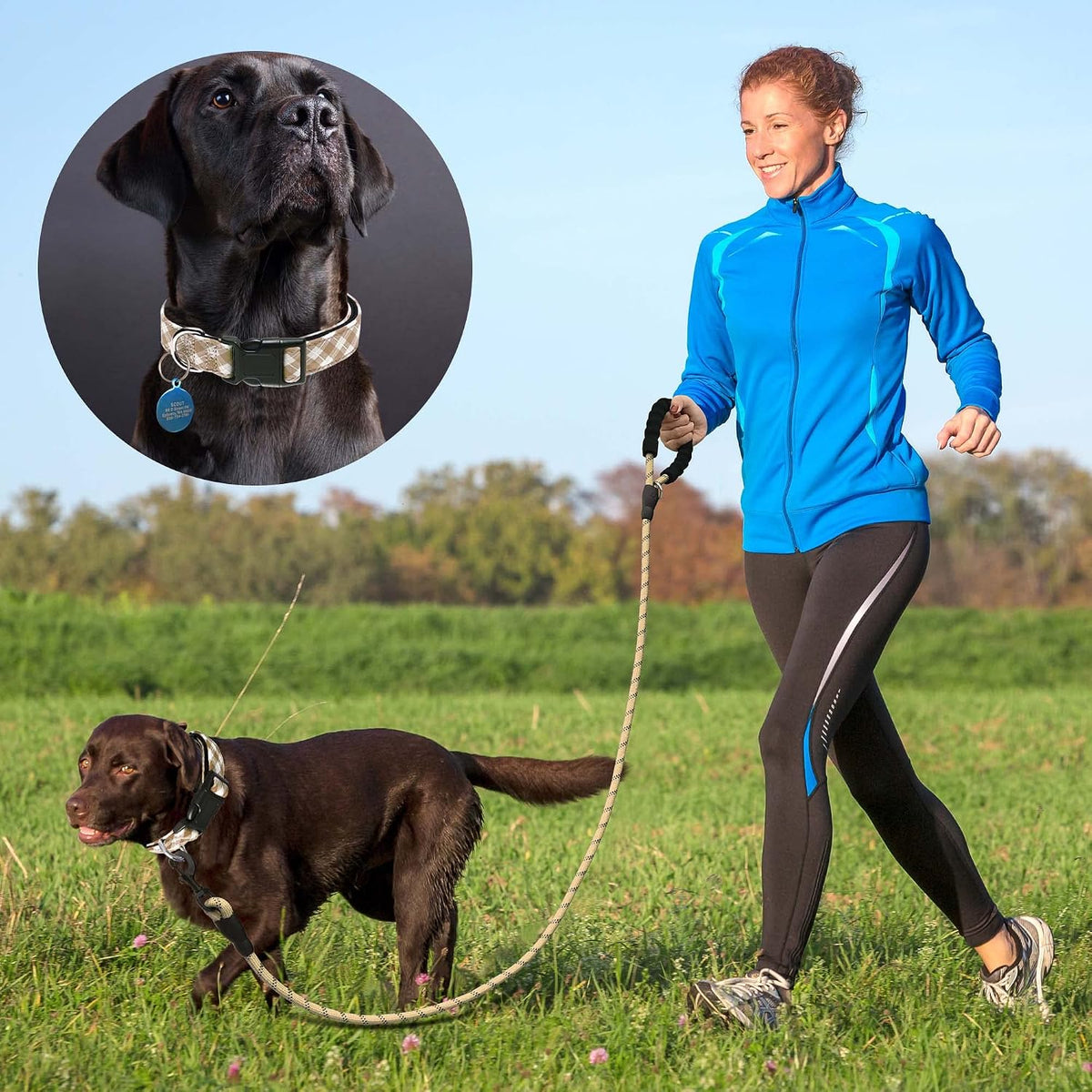 Ladoogo Reflective Dog Collar Padded with Soft Neoprene - Beige/White / Medium - image 4