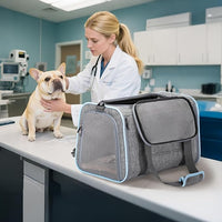 Petsfit Expandable Pet Carrier, 19x12x12 inches Soft-Sided Portable Cat Carrier Dog Carrier, with Removable Plush Mat, Locking Safety Zippers and Pockets
