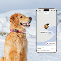 New Fi Series 3+ Smart Dog Tracker Collar – AI GPS for Dogs, Health & Behavior Monitor, Virtual Fence, Escape Alerts, Waterproof, Apple Watch Compatible 12Mo Membership Included