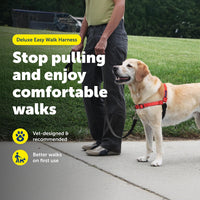 PetSafe Easy Walk Deluxe Dog Harness, No Pull Dog Harness - Medium/Large / Rose Red - image 3
