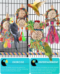 Bissap 2PCS Conure Toys, Foraging Bird Chew Sola Balls Toy for Small Parrot – Essentials for Birds - 5 PCS - image 4