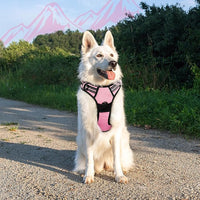 Eagloo Dog Harness Large Breed, No Pull Service Vest with Reflective Strips and Control Handle, Adjustable and Comfortable for Easy Walking, No Choke Pet Harness with 2 Metal Rings, Pink, XL