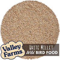 Valley Farms White Millet Wild Bird Seed (5LB) for Outside feeders, White proso Millet, Bird Watcher Secret Wild Bird Food to Attract Colorful Painted Buntings in Southern USA