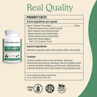5 Defenders Mushroom Supplement for Cats & Dogs – Chaga, Shiitake, Reishi, Turkey Tail, Maitake – Cat Multivitamin & Dog Supplement for Wellness Support– 90 ct Real Mushrooms Powder Capsules