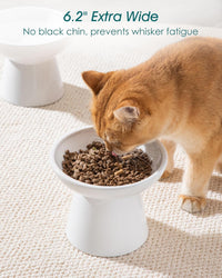 vancasso 2-Pack 6.2" Wide Elevated Cat Bowls - White / Food & Water Bowl Set - image 4