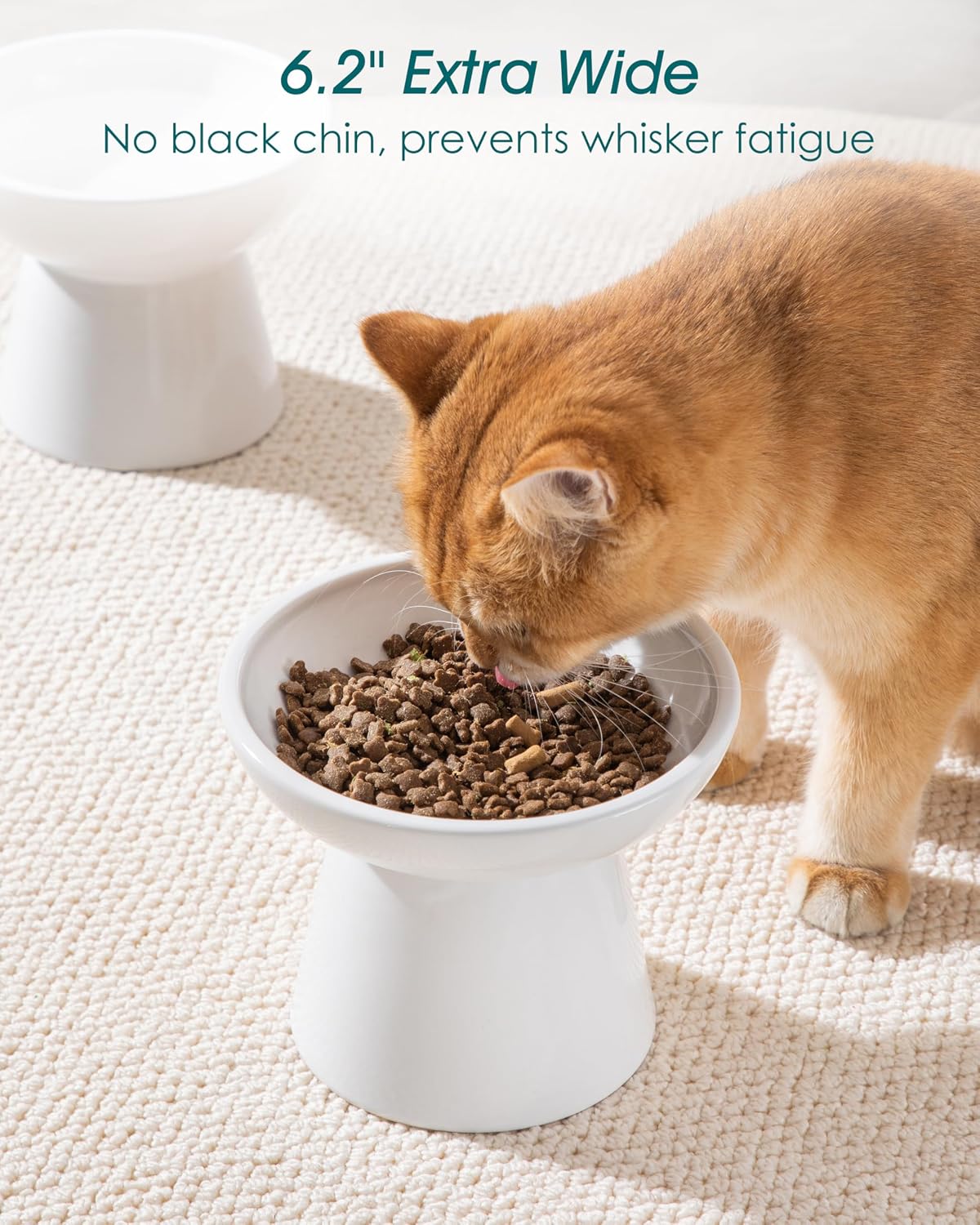 vancasso 2-Pack 6.2" Wide Elevated Cat Bowls - White / Food & Water Bowl Set - image 4