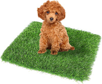 GLOBREEN 34" x 23" Fake Grass Pee Pad for Dogs Potty Training Turf - Green-01 / 19x29 Inch