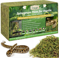 14OZ Natural Sphagnum Moss for Reptile Terrarium Substrate Bedding – Daily Care for Reptiles And Amphibians - 2.6LB