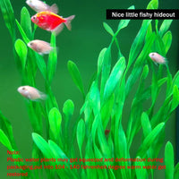 25.98 Inch Tall Aquarium Plants - Green (Style B) - image 4