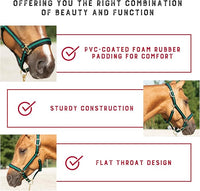 Weaver Leather Nylon Horse Halter, Padded and Adjustable, Chin and Throat Snap Hook Halters for Horses, Brass Plated Halters for Training