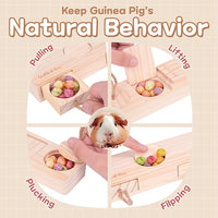 SoulThink® Interactive Guinea Pig Toys - Wooden Rat Toys for Pet Rats, Enrichment & Foraging Activity for Hamster Sniff n' Snack Puzzle for All Small Rodents (2 Sets)