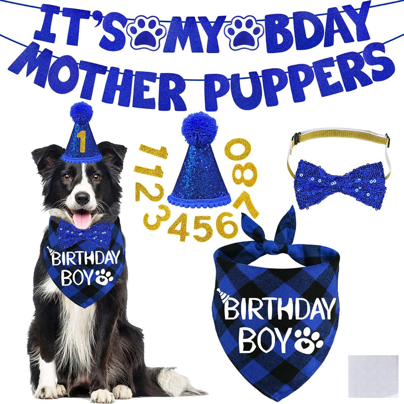 STMK Dog Birthday Decorations - Large / Blue