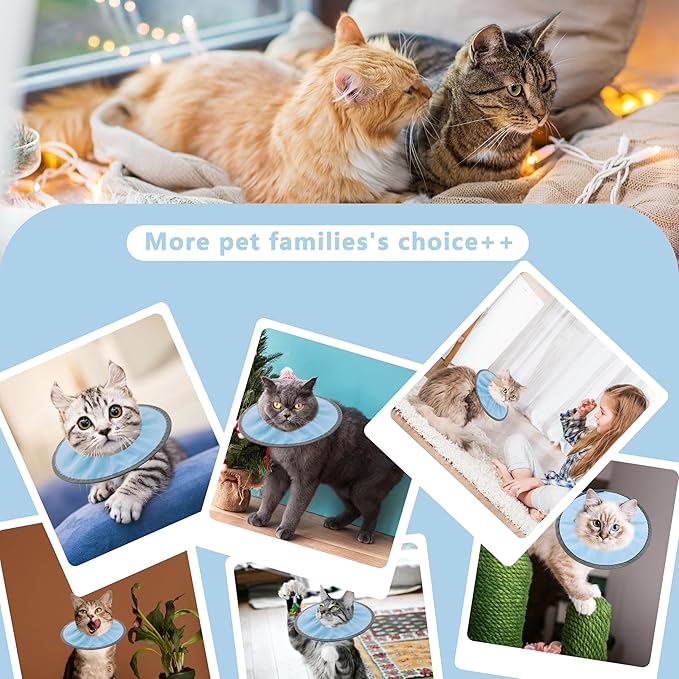 Lightweight Cat Cone Collar Soft, Soft Comfortable Cat Recovery Collar After Surgery, Elizabethan E Collar for Cats, Cone for Cats to Stop Licking (Baby Blue, Small)