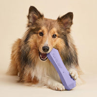 Playology Squeaky Chew Stick Scented Dog Toy - Medium / Lamb - image 2