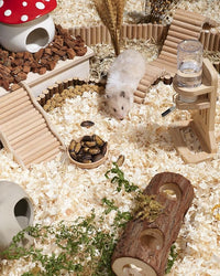 Niteangel Small Animal Snack & Treats - Small Critter Natural Treat for Dwarf Syrian Hamsters Gerbils Mice Sugar Glider Hedgehogs Chickens Birds (Freeze-Dried Dubia)