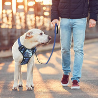 BUMBIN Dog Harness for Large Dogs, No Pull Adjustable No Choke Pet Vest with Dog Leash Fit Smart Reflective Pet Walking Harness for Training Easy Control Soft Handle Blue Camo L
