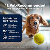 Yumove Hip & Joint Supplement for Dogs with Glucosamine, Hyaluronic Acid, Green Lipped Mussel & Omega 3 Joint Supplement - Regular or Advanced Strength (180ct, Advanced Vet Strength Soft Chews)