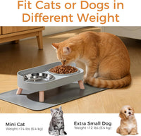 Elevated Cat Bowls Set - Raised Cat Food and Water Bowl Set with Non Slip Stand - Pet Feeding - Grey - image 3