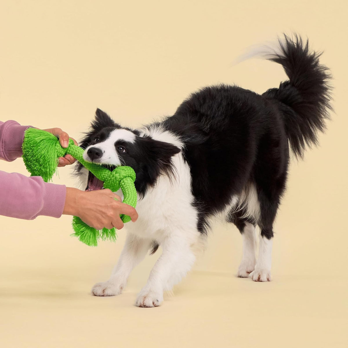 Playology Tug Rope Dog Toys for Large Dogs, Peanut Butter Scent - Jumbo / Sweet Potato - image 3