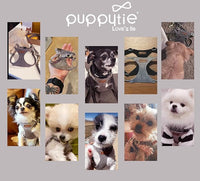 Puppytie No Pull Small Dog Harness with Multifunction Dog Leash,Lightweight Soft Adjustable No Choke Escape Proof Pet Harness Vest Pet Harness Vest,Silver Grey,S