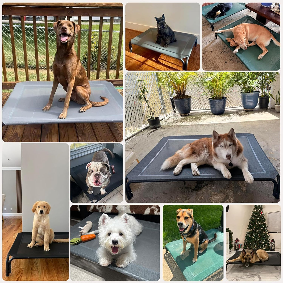 Elevated Dog Bed Raised Outdoor Dog Cot for Large Dogs - M-35.4"L×25.6"W×7.9"Th / Grey - image 2