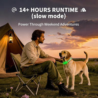 LED Dog Collar with Metal Buckle - USB Rechargeable Glow Collar for Dogs, Waterproof Light Up Dog Collar w/Reflective Strips - Adjustable Night Safety Collars by PetIsay(Green,Large)