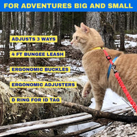 Travel Cat Harness and Bungee Leash Set, Large Cats, Kitten - Color Block - image 3