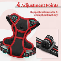 rabbitgoo Dog Harness No Pull with 2 Leash Clips, Adjustable Soft Padded, Reflective Oxford No Choke Pet Vest with Easy Control Handle for Puppy, Black & Red, XS