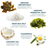 Dead Sea Spa Magik Hair Conditioner - Moisturizing, Natural, Organic Hair Care with Dead Sea Minerals & Coconut Oil