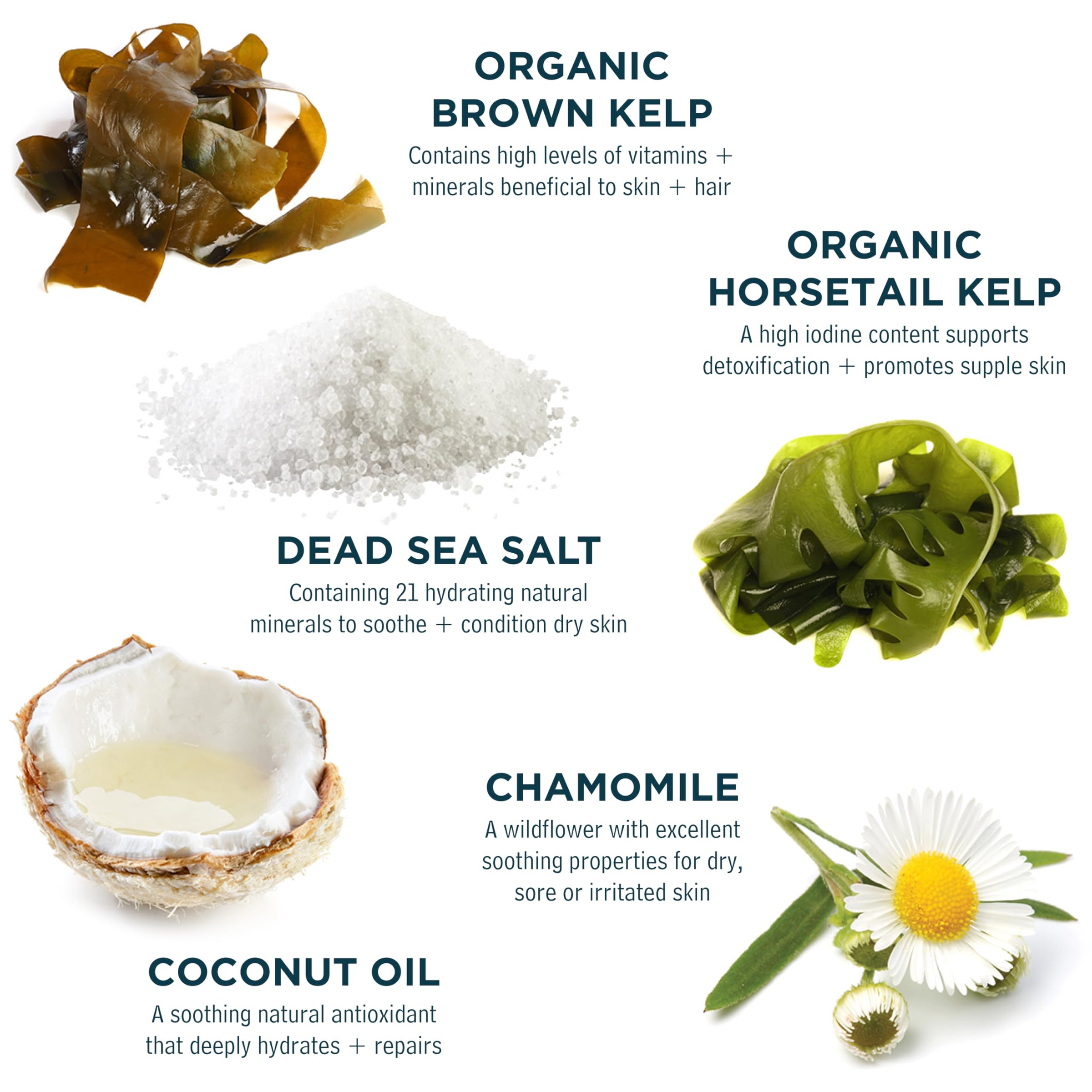 Dead Sea Spa Magik Hair Conditioner - Moisturizing, Natural, Organic Hair Care with Dead Sea Minerals & Coconut Oil