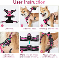 rabbitgoo Dog Harness No Pull with 2 Leash Clips, Adjustable Soft Padded, Reflective Oxford No Choke Pet Vest with Easy Control Handle for Medium Sized Dogs, Hot Pink, M