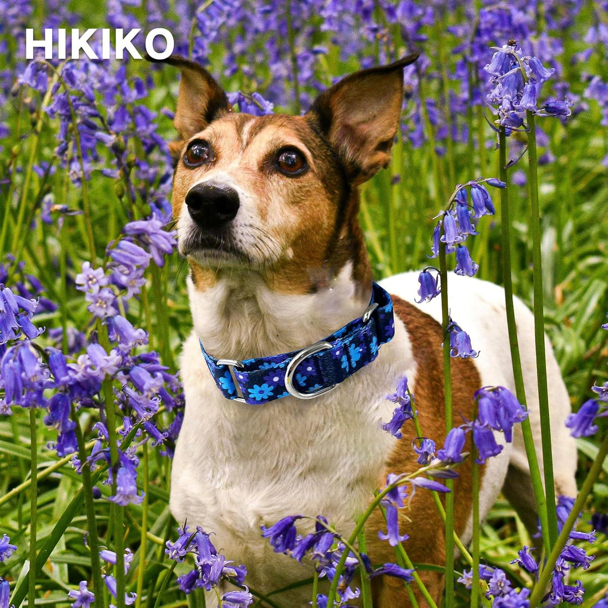 Hikiko Martingale Dog Collar Without Buckle - Navy Blue Flower / Large - image 3