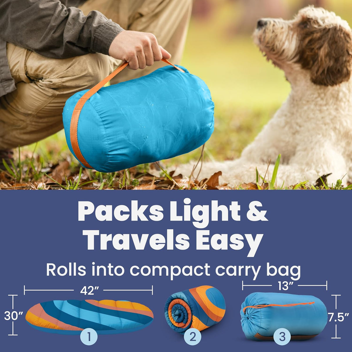 Travel Dog Bed, Foldable & Packable with Carry Bag, Black - Sunset Surf / Medium - image 3