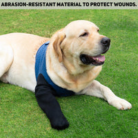 COODEO Dog Socks to Prevent Licking Paws - M_Right / Blue - image 2