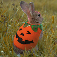 Halloween Guinea Pig Clothes - Orange and Black / XXS - image 2