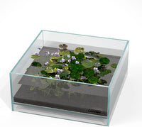 Aquarium 75H 37 Gallon Ultra Clear Glass Rimless Fish Tank – Essentials for Fish - Air / 1.6Gal W10.6×D10.6×H4.7 in(27x27x12cm)