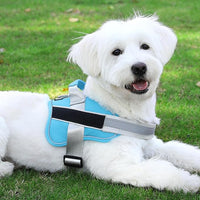 Bolux Dog Harness, No-Pull Reflective Dog Vest, Breathable Adjustable Pet Harness with Handle for Outdoor Walking - No More Pulling, Tugging or Choking (OceanicBlue, Small (Pack of 1))